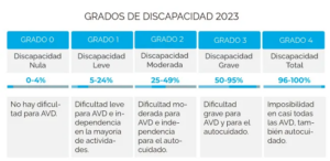 Grado discapacidad España 2023
